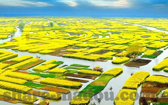 91麻豆视频免费看-91麻豆视频篇，免费导航到娱乐新天地