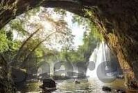 大象回家视频一二芒果-象行记，大象回家与一二芒果的温馨篇章