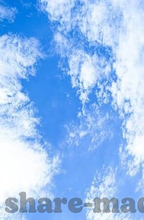 伦理片在线播放-伦理片，在线观看的伦理边界与文化价值
