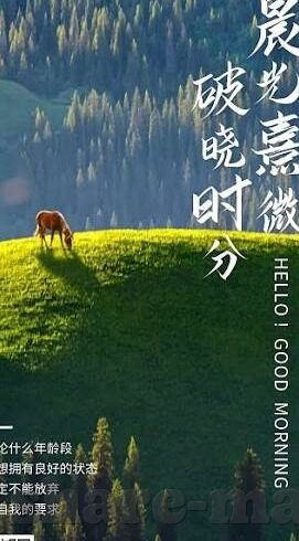 苹果怎么下载糖心vlog-如何便捷下载苹果设备上的糖心Vlog